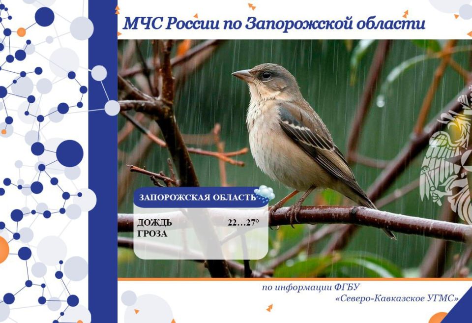 � 23 �� 24 ���� �� ���������� ������� ���������:
