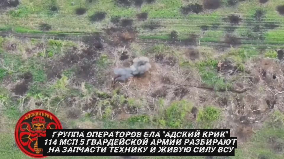 от Енота Херсона за прошедшие сутки