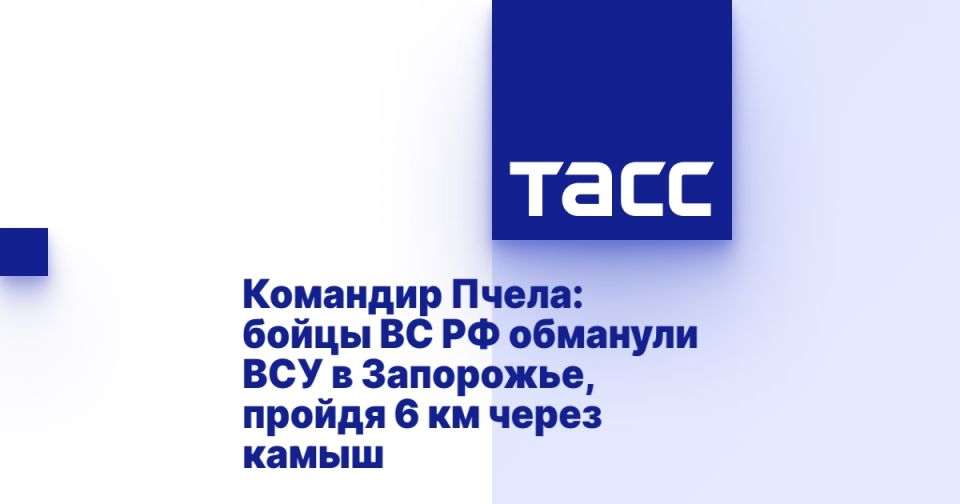 Командир Пчела: бойцы ВС РФ обманули ВСУ в Запорожье, пройдя 6 км через камыш