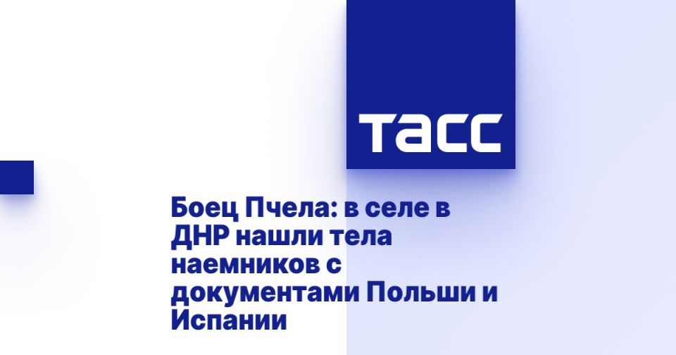 ���� �����: � ���� � ��� ����� ���� ��������� � ����������� ������ � �������