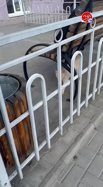 �� ���������� ���!�» ���� ����� ����������� �������� � ������!