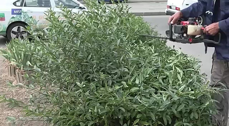 В Мелитополе продолжается благоустройство скверов и парков