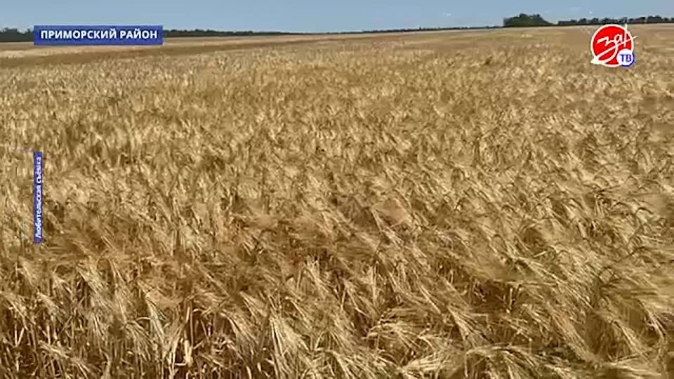 В Приазовском районе фермеры посетили площадки демопосевов