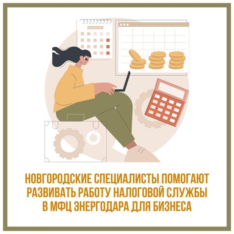 Новгородские специалисты помогают развивать работу налоговой службы в МФЦ Энергодара для бизнеса