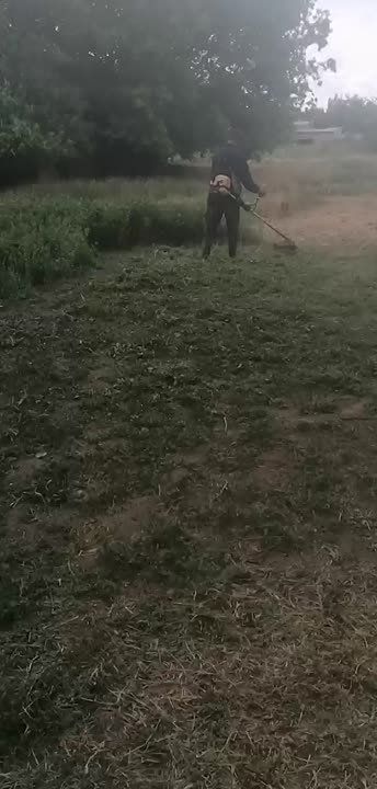 ����������� ������-����������� ���������� ������� ������ �� ��������������� ���������� ����� ��������