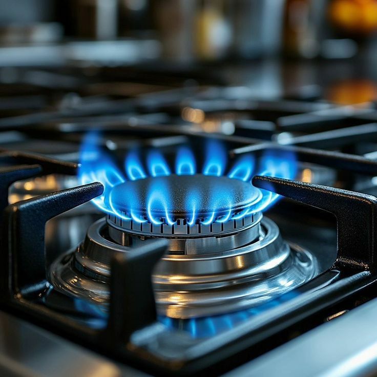 Анна Хорошун: К сведению абонентов «Запорожгаз» филиала ООО "ЧМНГ"