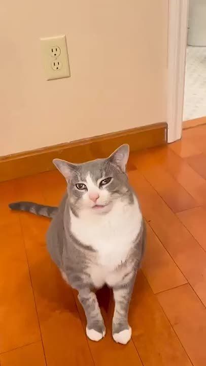 � �� ��� ����������?. ��������� �� ����: ����� ����� ���������