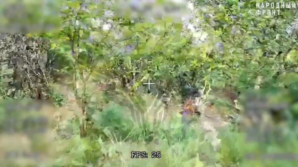 22 ���� �������� 144 ������� ���������� ��������������� ������� � ���������� ���� �.�. ��������. ������ ������ ��������� ��������� �� ���������� ����������� � ��������� ����� � ��