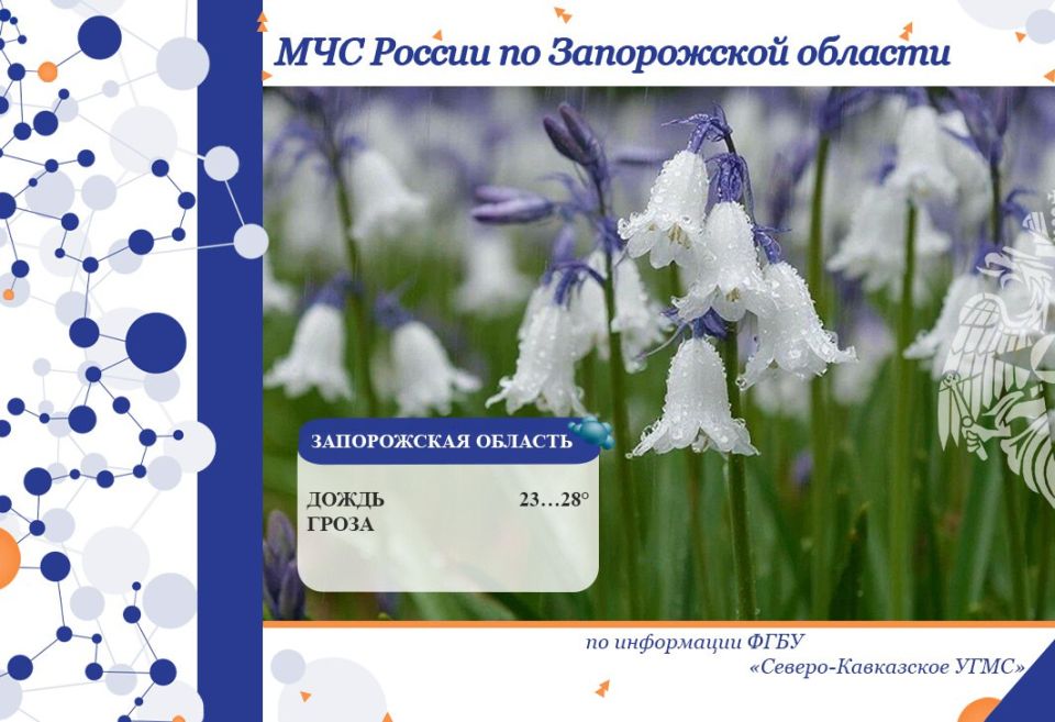 � 25 �� 26 ���� �� ���������� ������� ���������: