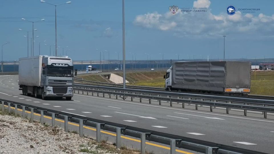 Госавтоинспекция Запорожской области напоминает водителям об опасности разговоров по мобильному телефону за рулем