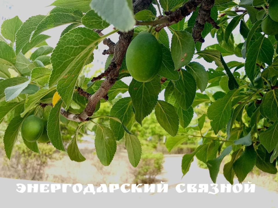 ������, �������, ������, ����� � ����������� � ������ ��� ��� ������ ��������� ��� �������!
