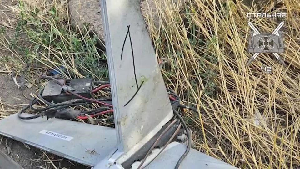 Кадры сбития БПЛА ВСУ в районе Токмака