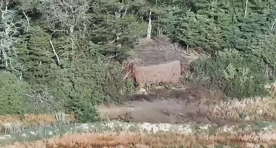 Отправка дронами в ангар украинских Т-64БВ и Т-72АВ в Запорожской области