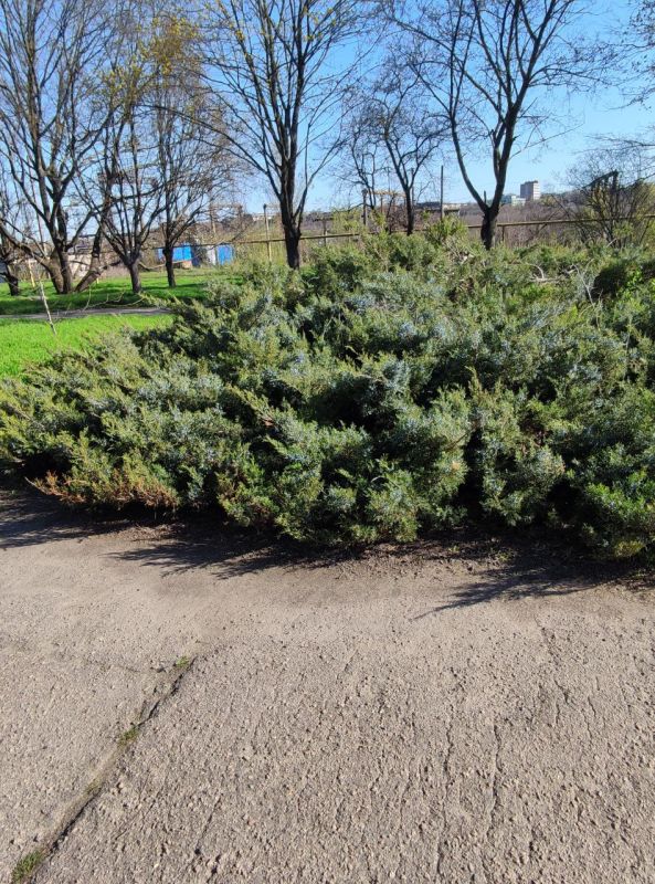 Доброе утро!!. Человек без улыбки — это струны без скрипки, это море без чайки, это дом без хозяйки, это кот без хвоста, это хвост без кота