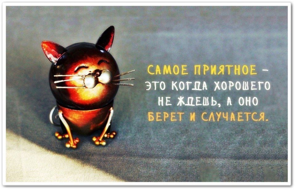 Дорогие наши!. Рабочий четверг завершен