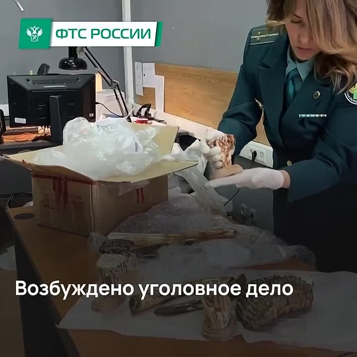��� �������� �� �������������?