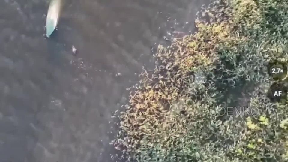 ������� ���� ����������� ������ ���������� ���������� ����� � ���������� �������