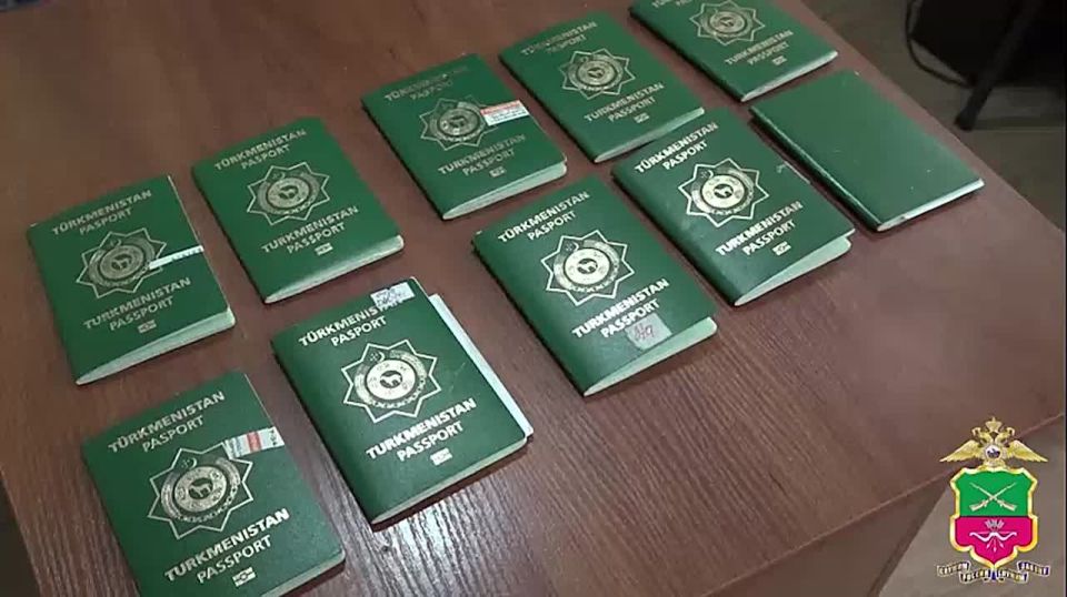 На территории Запорожской области прошел первый этап комплексной оперативно-профилактической операции «Нелегал-2025»