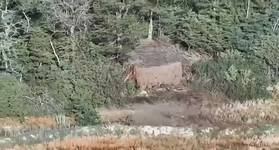Российские войска ударами FPV-дронов сожгли танки Т-64БВ и Т-72АВ ВСУ на Южно-Донецком направлении, сообщает Telegram-канал “Запорожский Фронт”