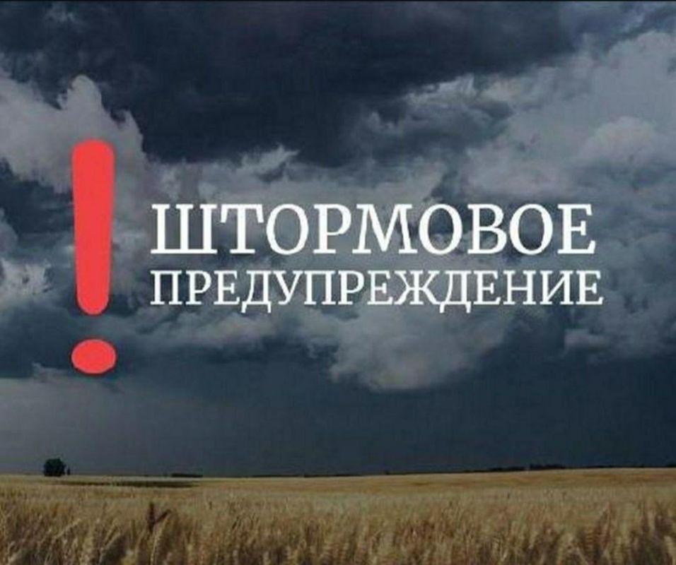 Анна Хорошун: Внимание! Объявлено штормовое предупреждение!