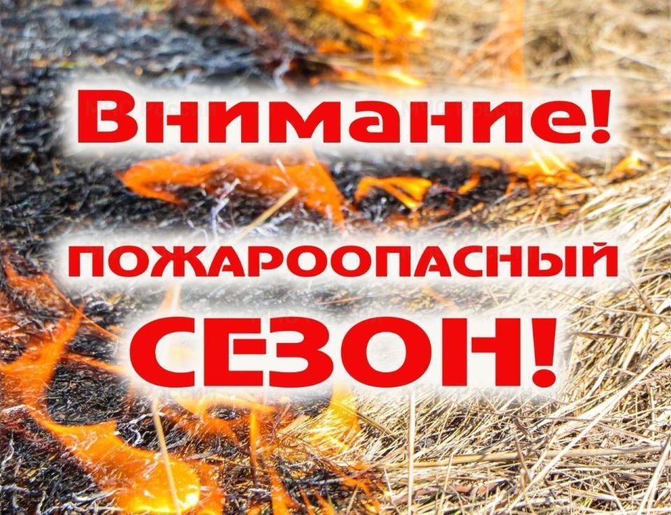 Администрация городского округа Мелитополь приняла постановление о начале пожароопасного сезона на территории города с 7 апреля 2025 года