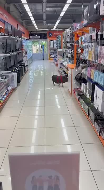 ���� � �������� �����?. ���� ���-��� �������