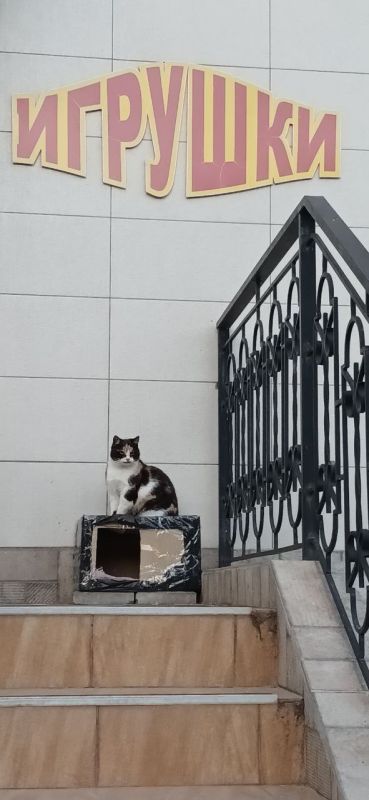 Спешим пожелать доброго утра! Пусть день будет наполнен только яркими событиями и принесет спокойствие и гармонию