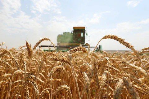 Уважаемые аграрии!. Продолжается прием финансово-экономической отчетности за 1 квартал 2025 года — до 01.07.2025. Просим обратить внимание, при условии подачи отчетности в формате xml, на корректное заполнение кода органа...