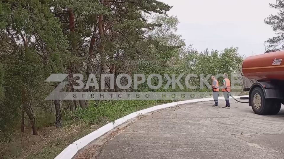 Коммунальщики Запорожской области заботятся о городских растениях