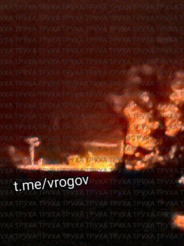 Владимир Рогов: О массированном цветении Герани в Запорожье