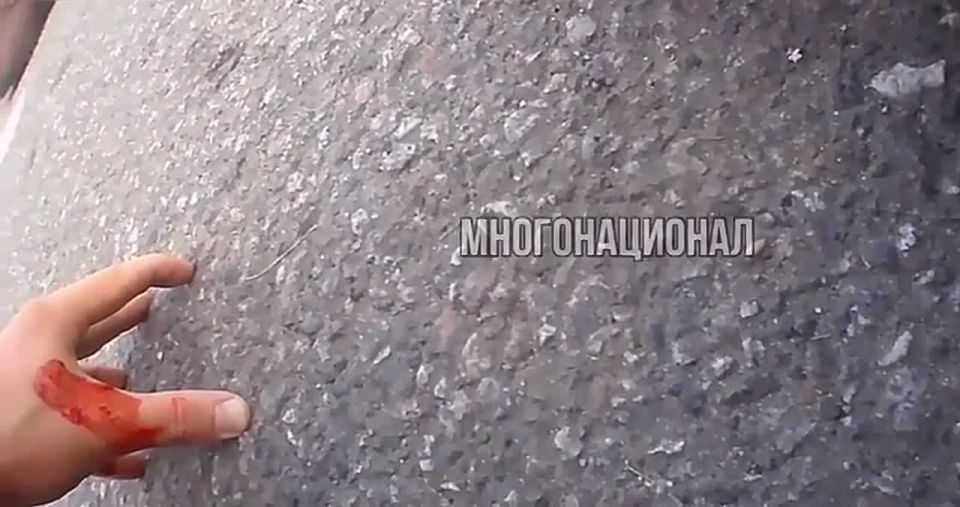 Владимир Рогов: У меня один вопрос - почему сотрудник военной полиции не исполнил закон и не пристрелил преступников, сначала нарушивших правила дорожного движения, а затем совершивших преступление, напав на сотрудника ВП...