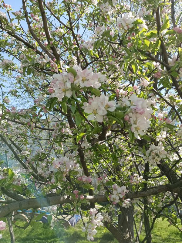 С добрым утром! Наступил новый потрясающий день, полный новых подвигов и побед