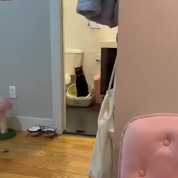 ������ ��� ���� ����� ����