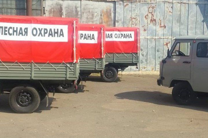 В Мелитопольском округе проведут санитарные порубки на 17 гектарах угодий
