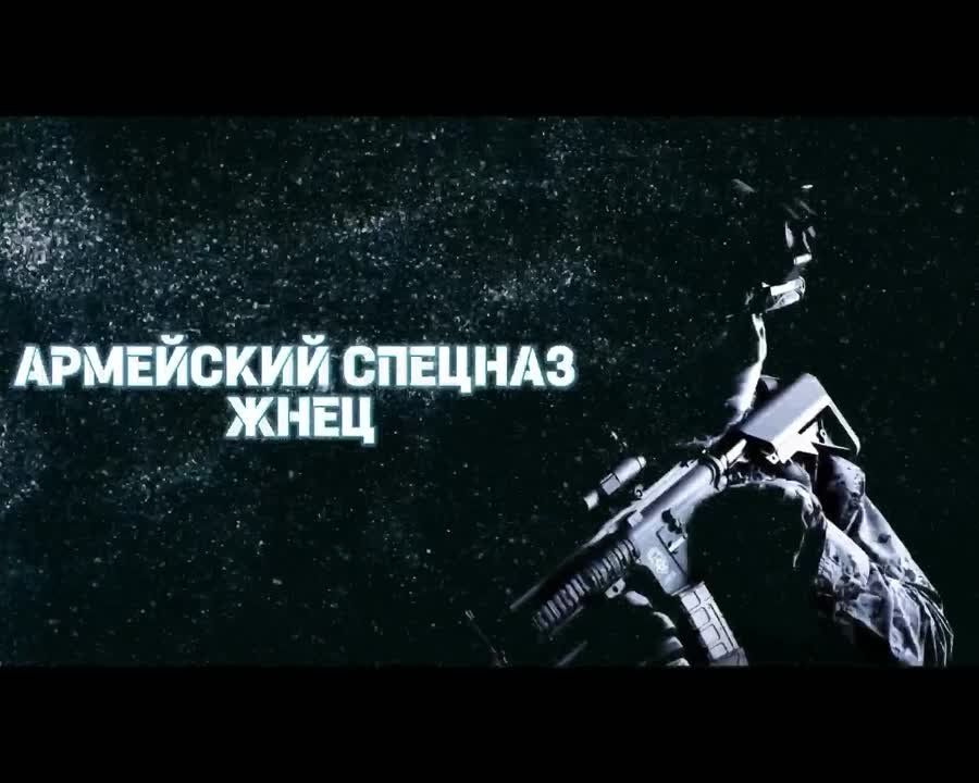 �������� ������������ ������� ���������� �� ����������� �����������