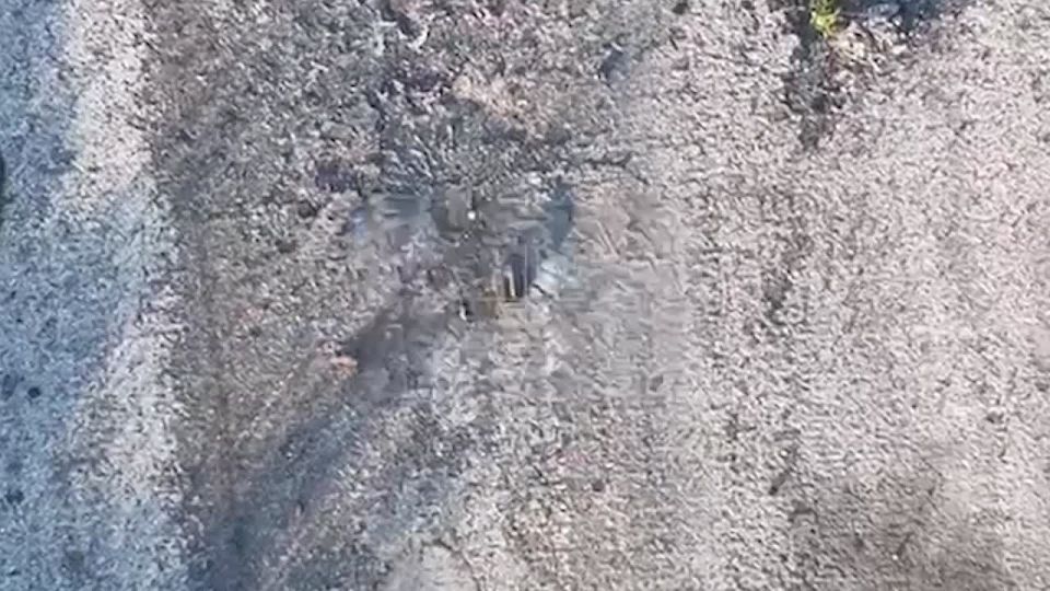 Новороссийские саперы-десантники с помощью беспилотников разминируют дороги с подъездными путями к линии боевого соприкосновения на Ореховском направлении в Запорожской области