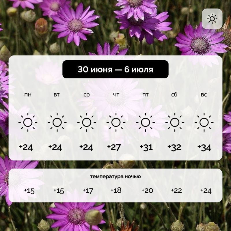 ������ � ����������� ������� �� 30 ���� � 6 ����