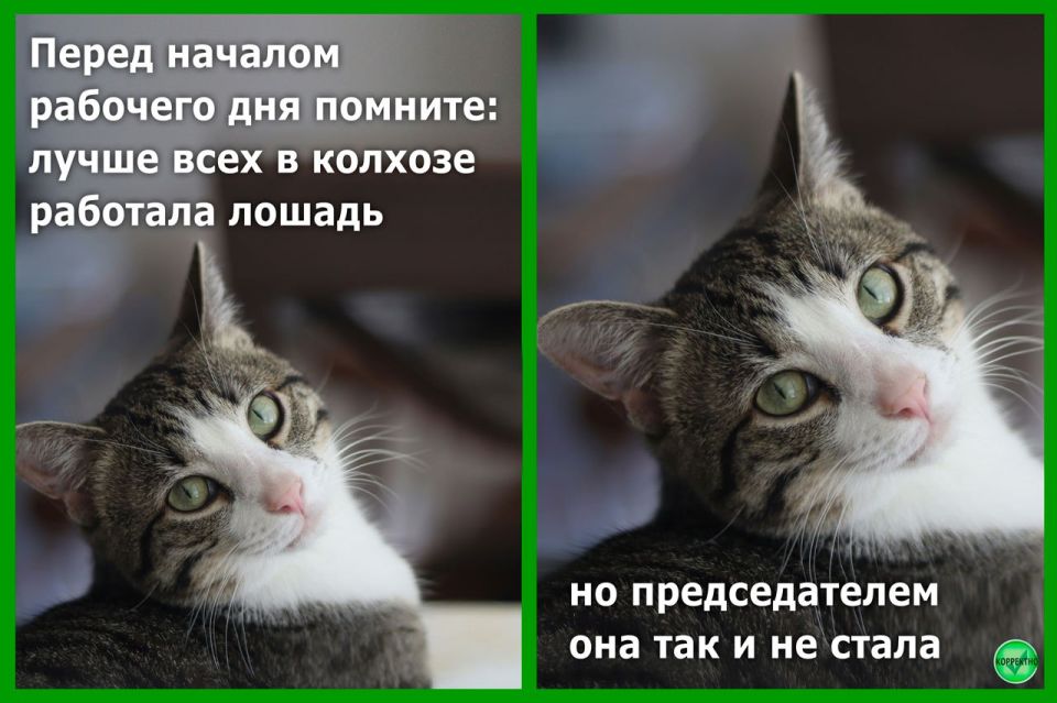 ���������������� ��������� � ����