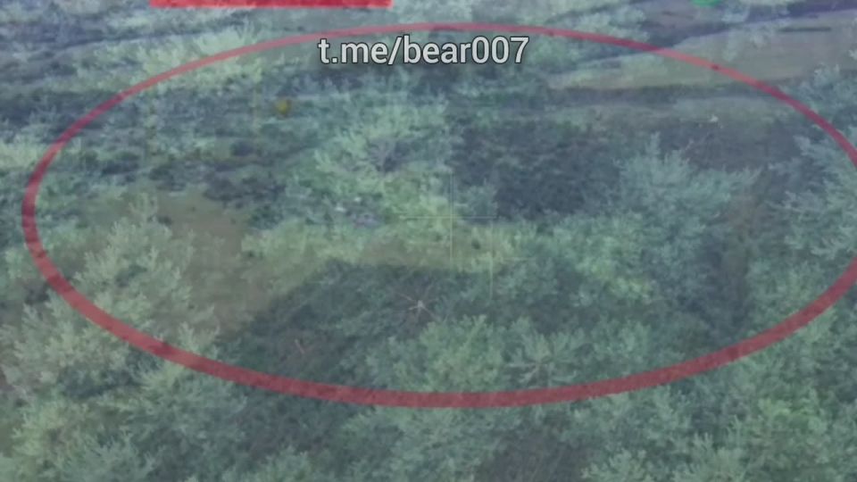 ����� "�����" �������� � ����������� ������� � ����������� ��������:
