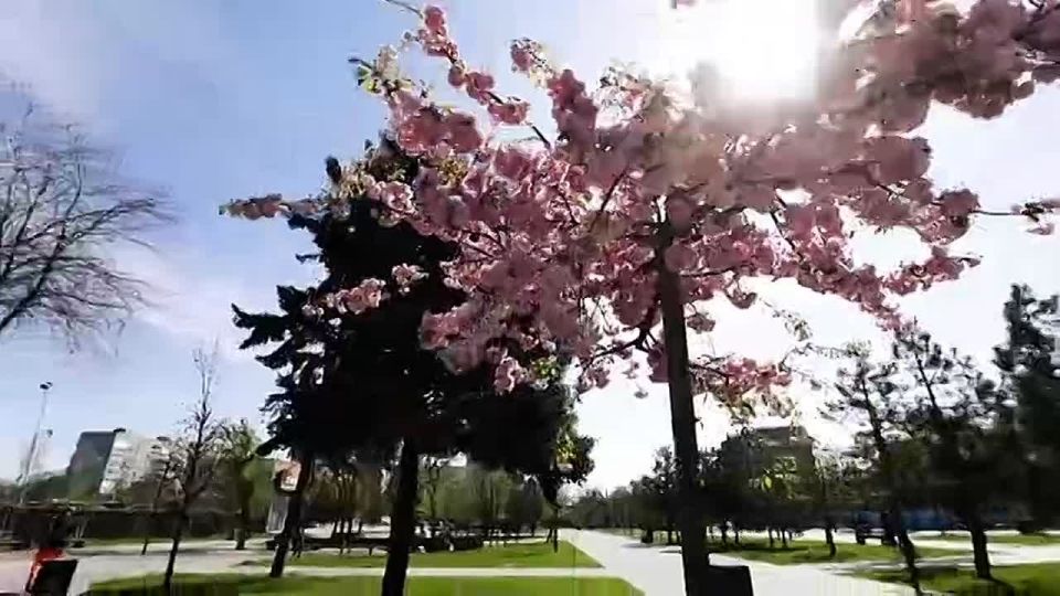 ����� ����������: ��������� �� �������� ��������� � �������������� �������� ������������ ��������, ������� ������ ��������� ������ �������� ����� � ��������� ��� ���������� ����������� ���������������� ������� � ��������...