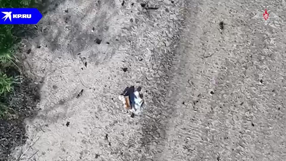 Саперы ВС РФ уничтожают мины ВСУ в Запорожской области бомбами с дрона