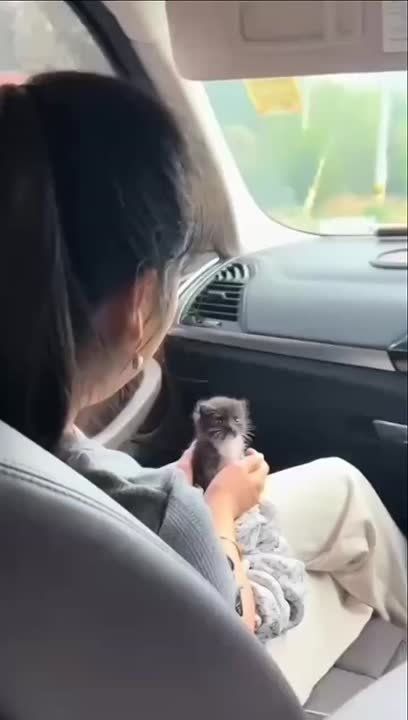 ���������� �� ������ � ���� �����������