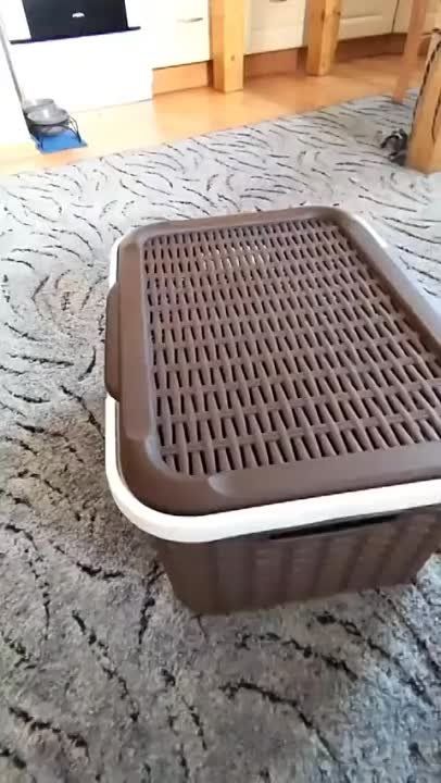 �� � ������. ����� ���� ��� �����, � ��� ������� ������ �� ����������