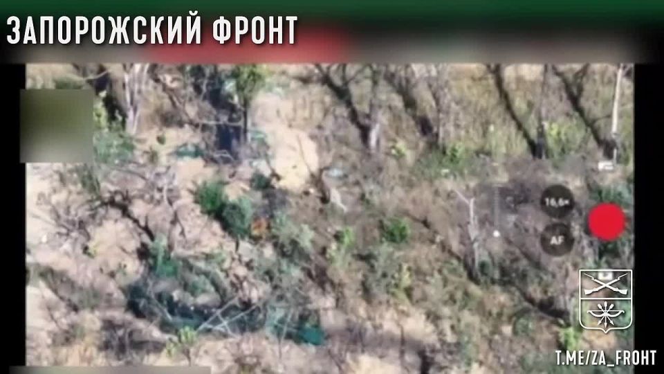 Оператор БПЛА с позывным «Вохан» из группы «Немца» 291-го полка продолжает точечные удары на Запорожском направлении