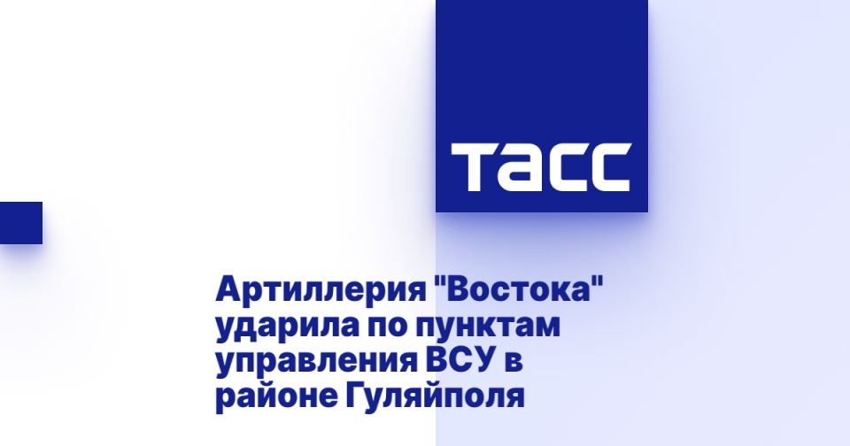 Артиллерия &quot;Востока&quot; ударила по пунктам управления ВСУ в районе Гуляйполя
