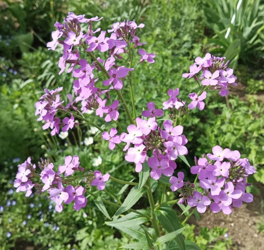 Доброго утра, друзья, вам желаем! Пусть вам сегодня всем повезет! Теплый привет мы отправляем– С лучиком солнца до вас он дойдет