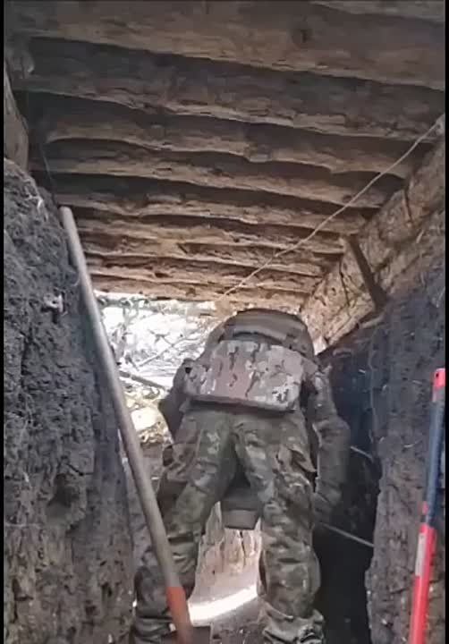 � ������ �������� �����, ����������� �������!