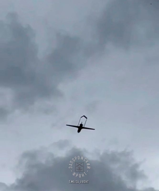 ����� ���� ��������������� ���� ������