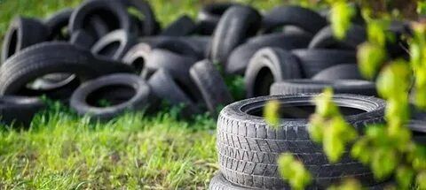 «Единая Россия» проводит сбор автомобильных покрышек в рамках партийного проекта «Чистая страна»