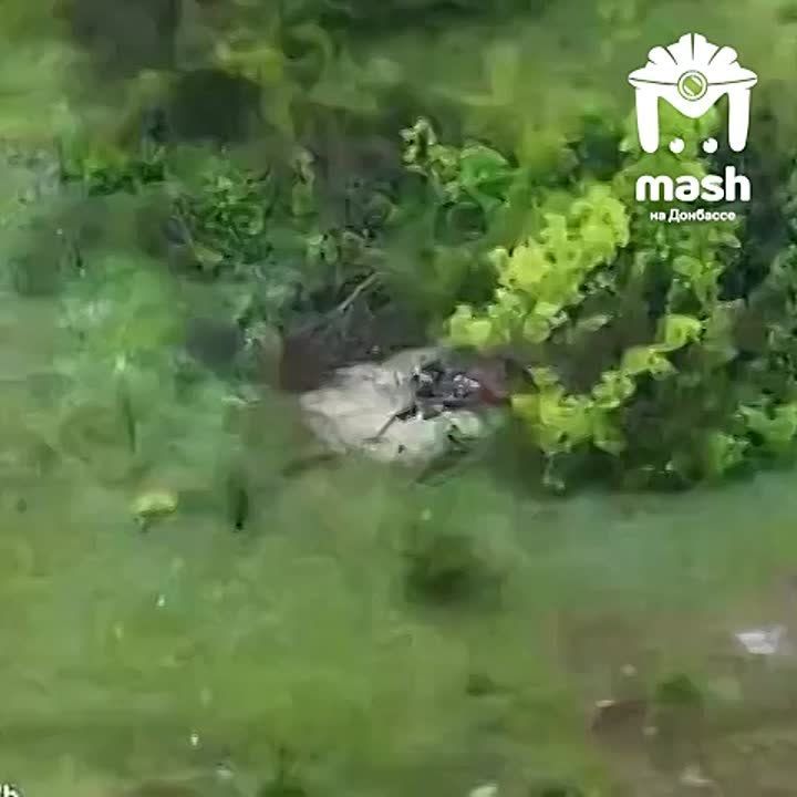 ���������� ����� ��������� ������������ ������� � ����� ������ ����������